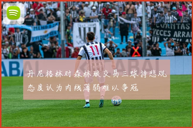 丹尼格林对森林狼交易三球持悲观态度认为内线薄弱难以争冠